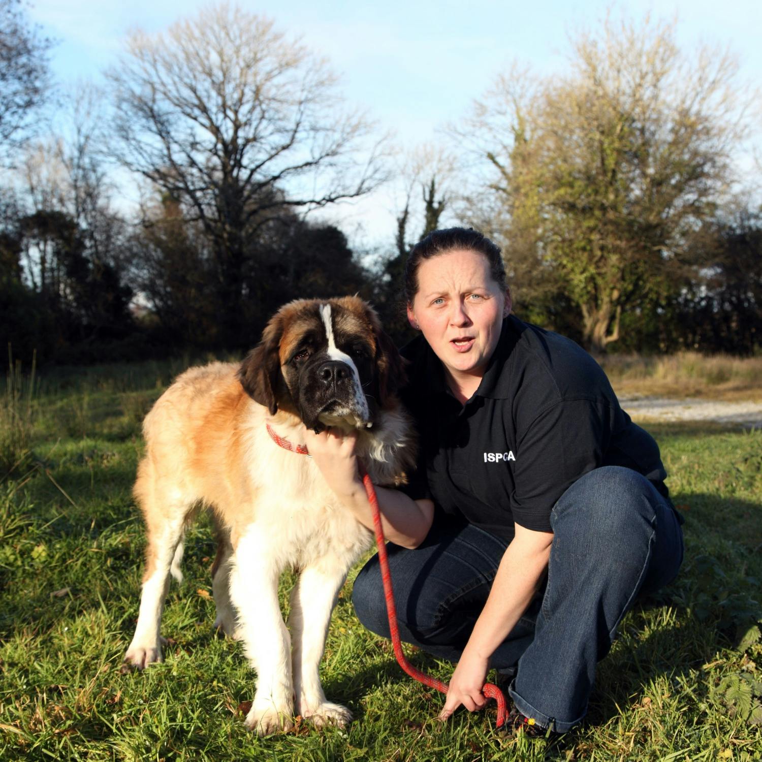 More Animals Are Being Abused And Abandoned Than Ever Before