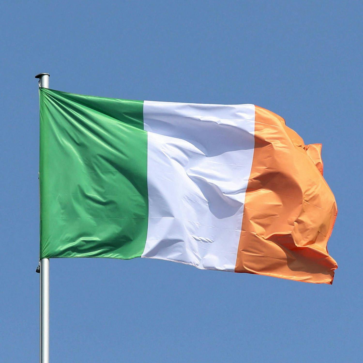 Should Irish citizenship requirements be tightened?