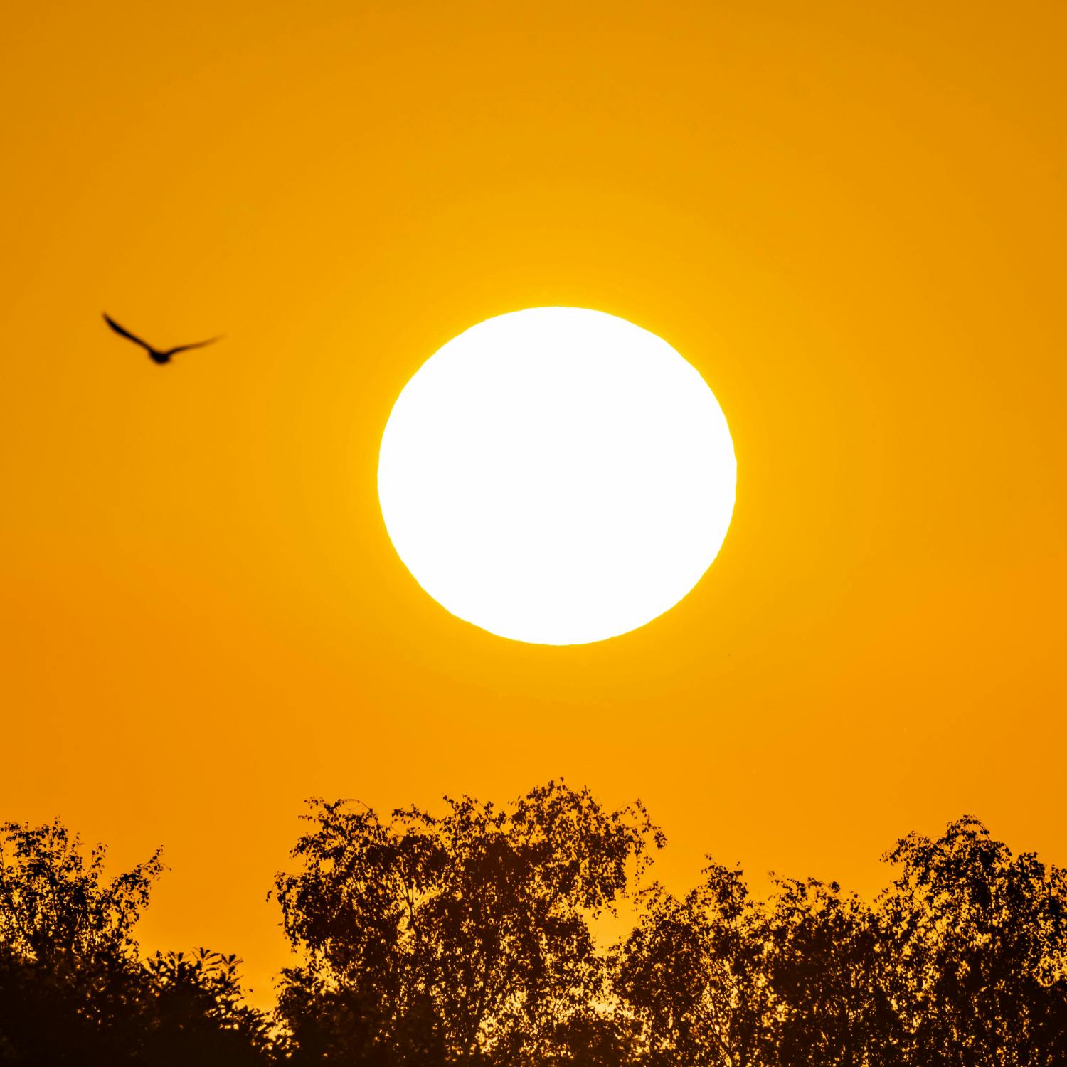 Autumnal Equinox takes place tonight - what to expect