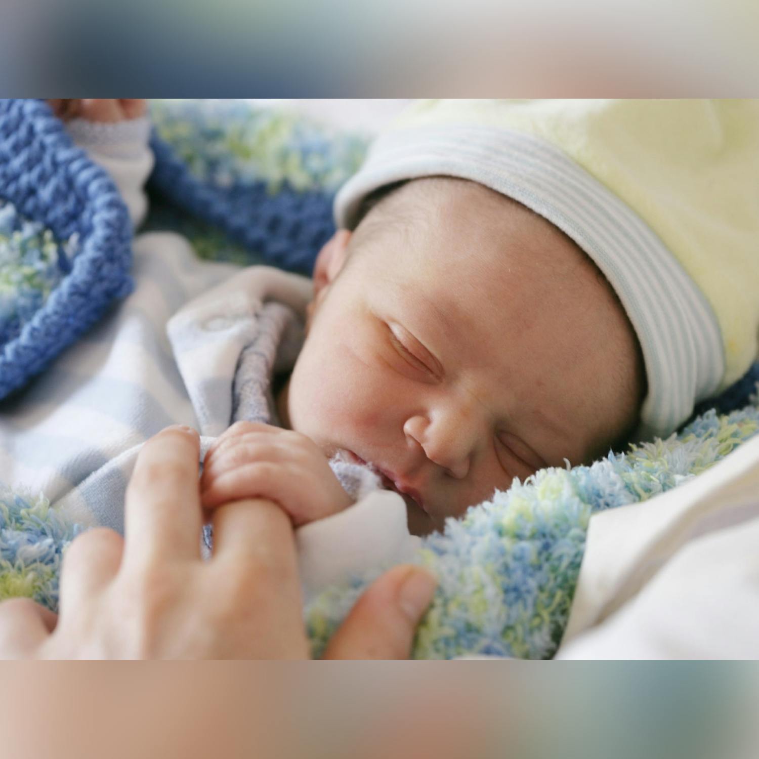 Would the removal of private maternity care be better for women? Would the removal of private maternity care be better for women?