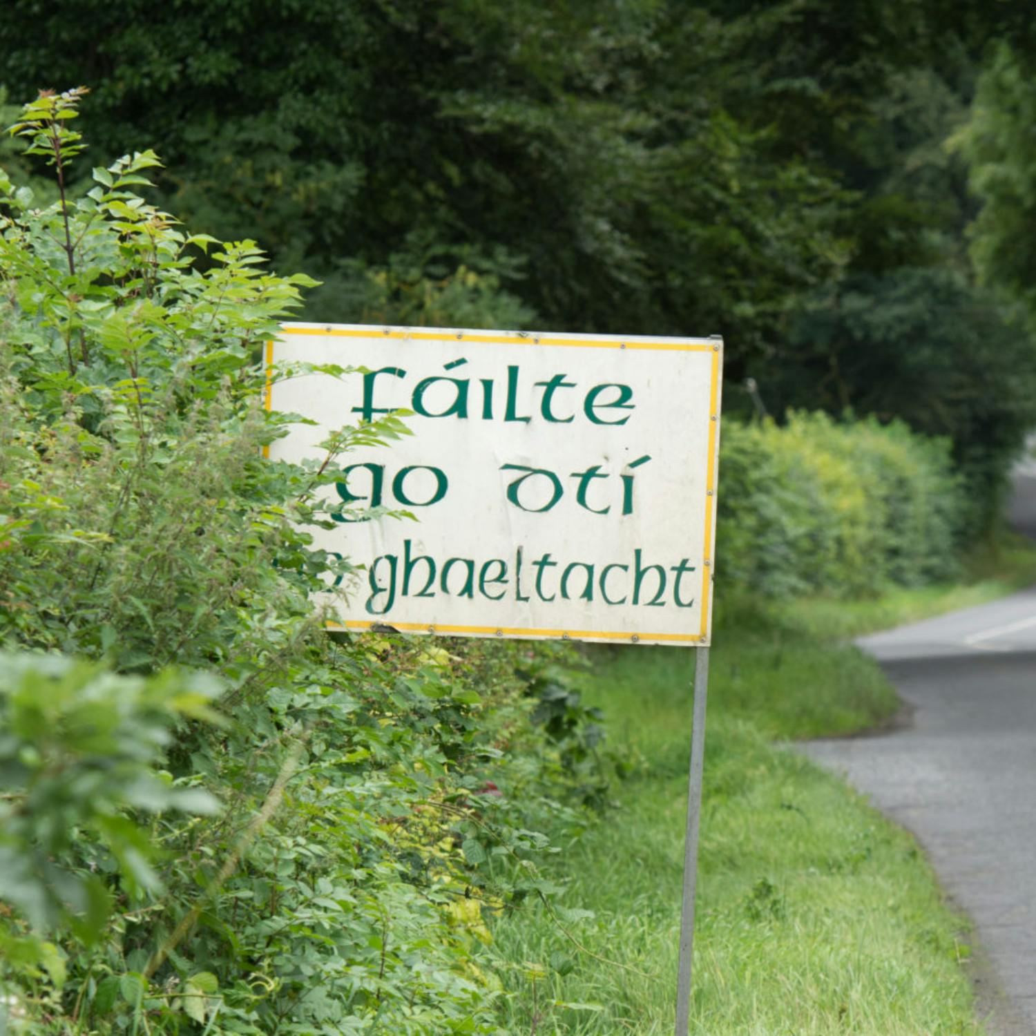 Do we have enough gaelscoils in Ireland?