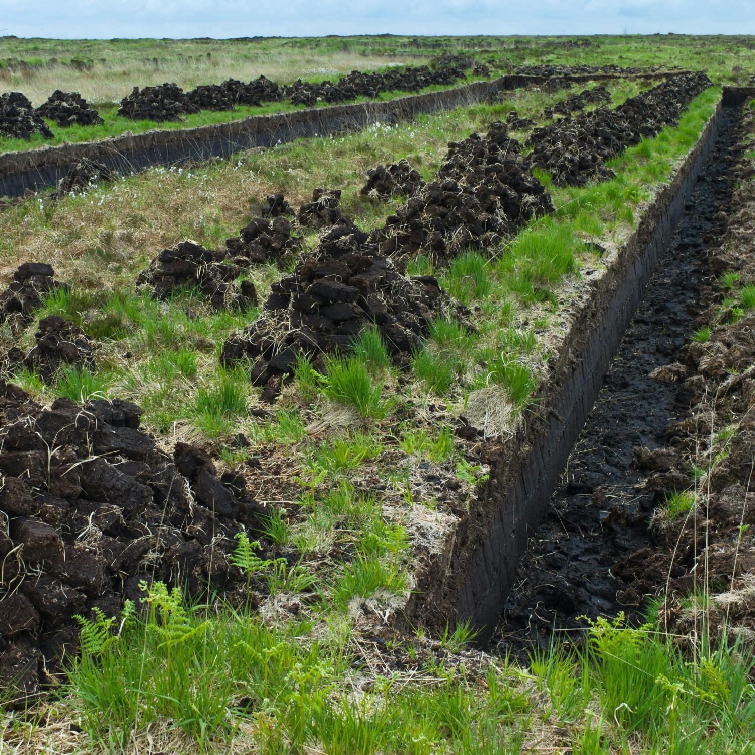 Turf cutting rights - should the laws be overturned?