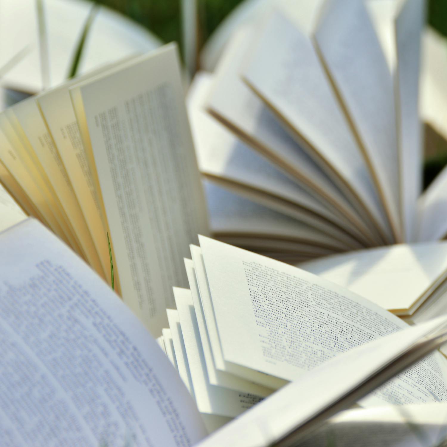 The Bookshelf with Lise Hand The Bookshelf with Lise Hand