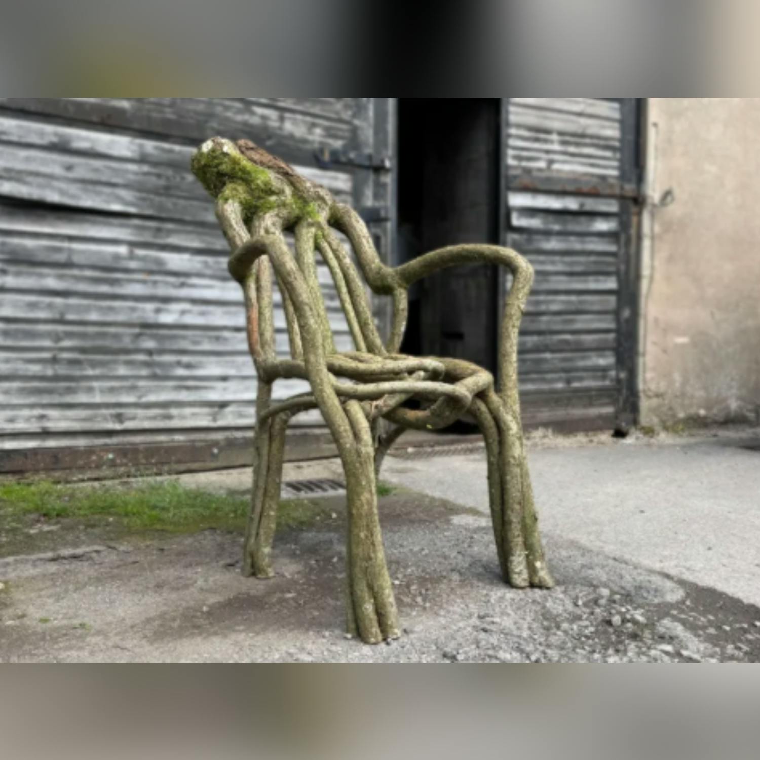 Couple in the UK grow trees into chair shapes - how? episode artwork
