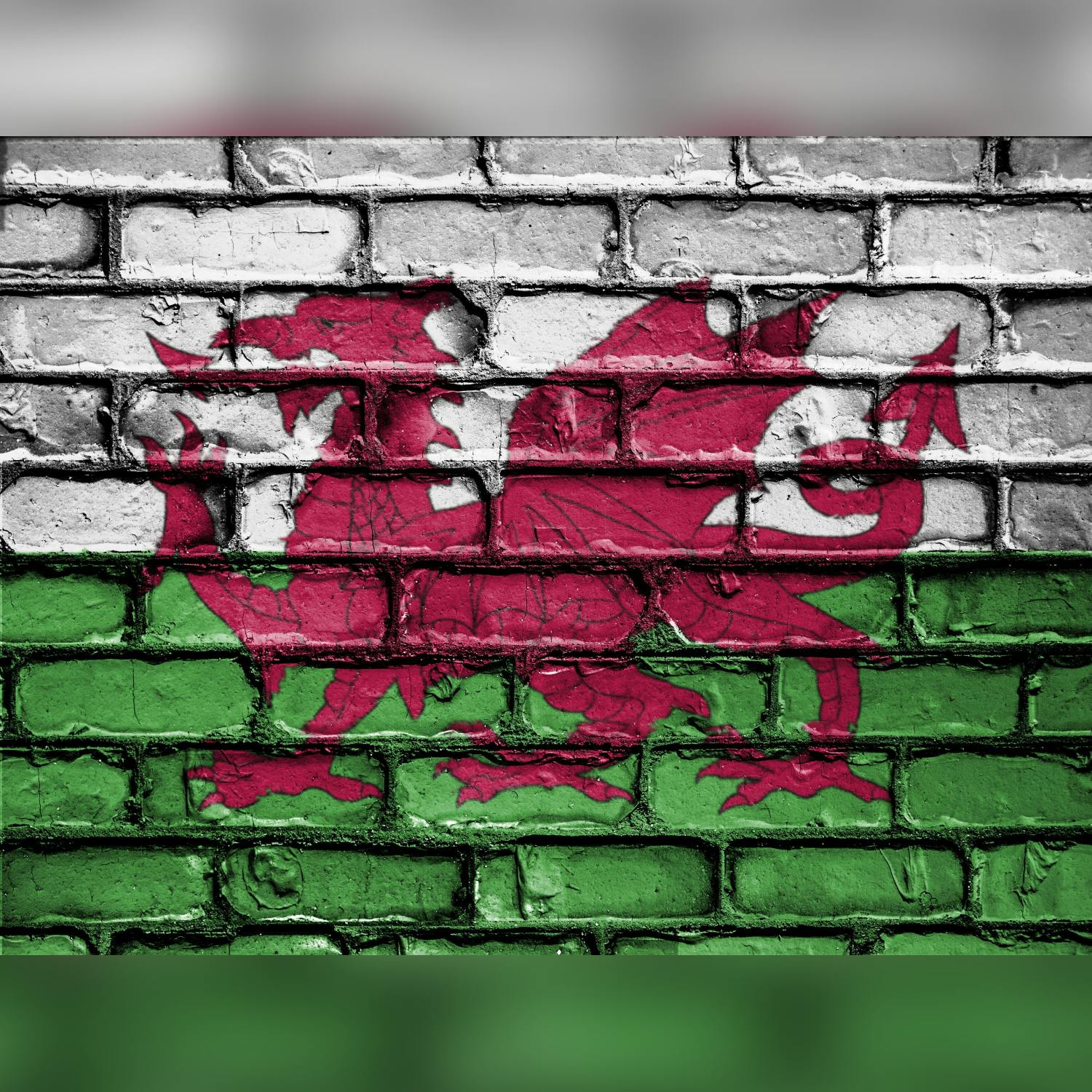 Should Ireland adopt the Welsh methods of language revival? episode artwork