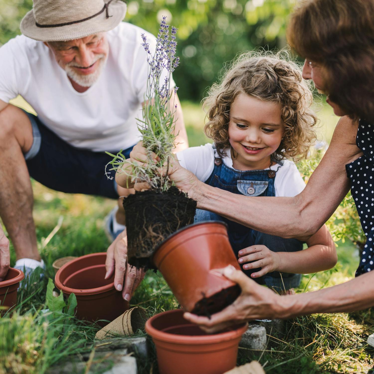 Gardening with Paraic Horkan