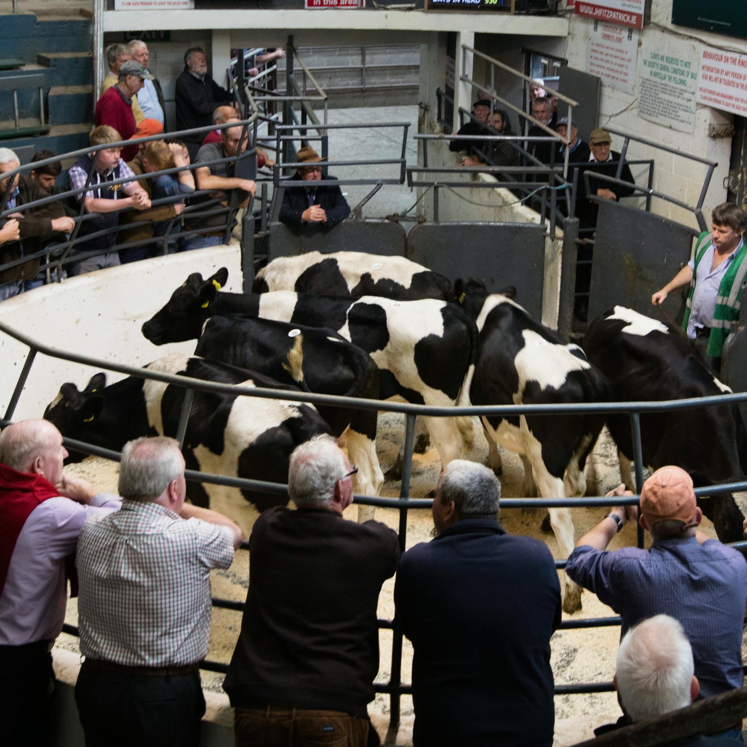 Ireland to vote against Mercosur trade deal Ireland to vote against Mercosur trade deal