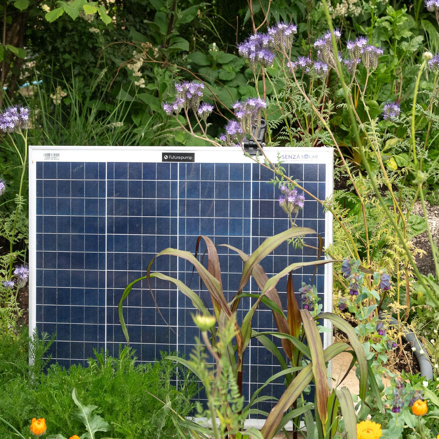 Should you use plug in solar panels?