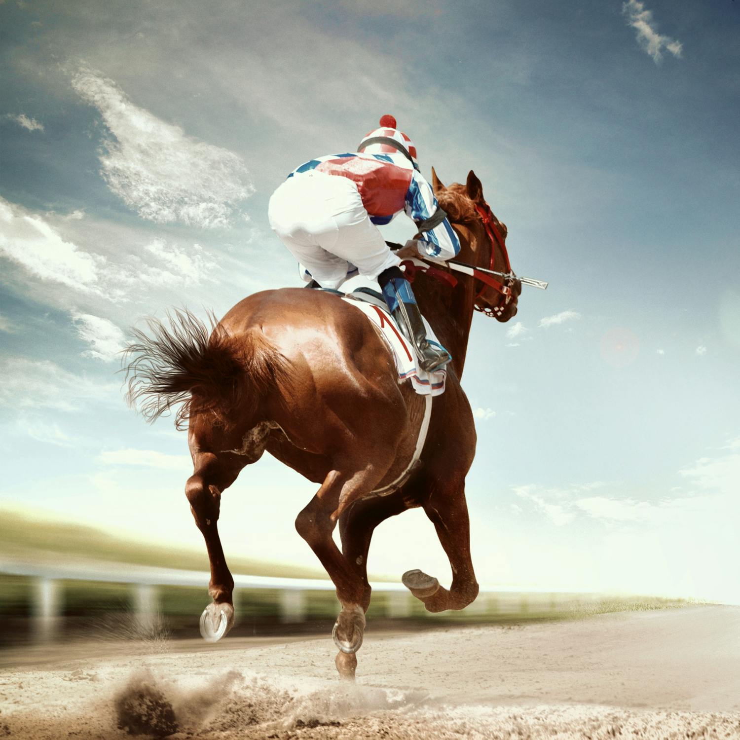 Most fascinating sporting animals