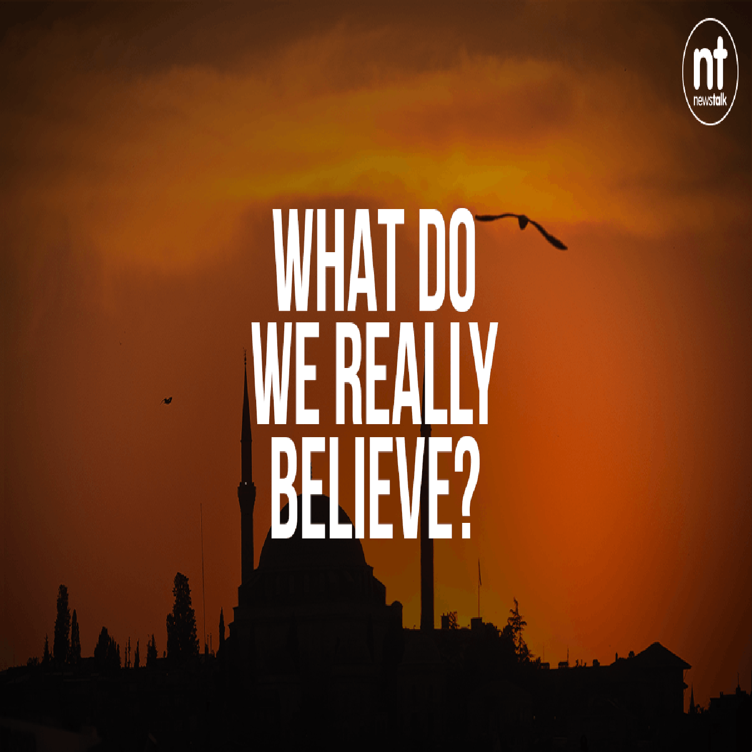 cover of episode What Do We Really Believe: Islam