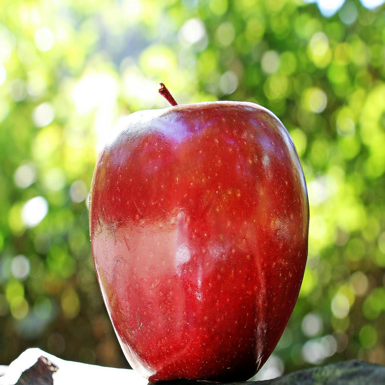 cover of episode You Are What You Eat: Apples