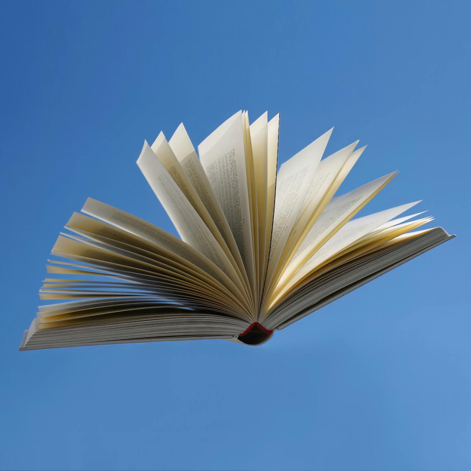 The Bookshelf with Sinead Moriarty The Bookshelf with Sinead Moriarty