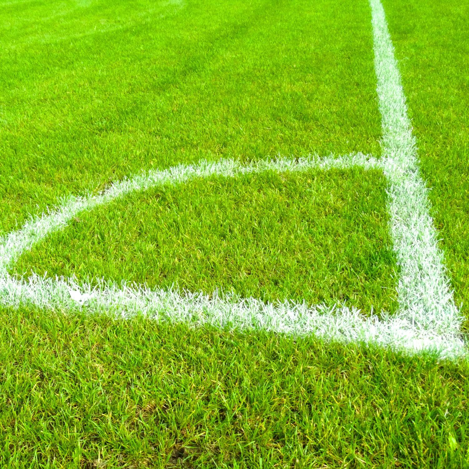 Ireland V Israel officially moving to neutral venue - without fans