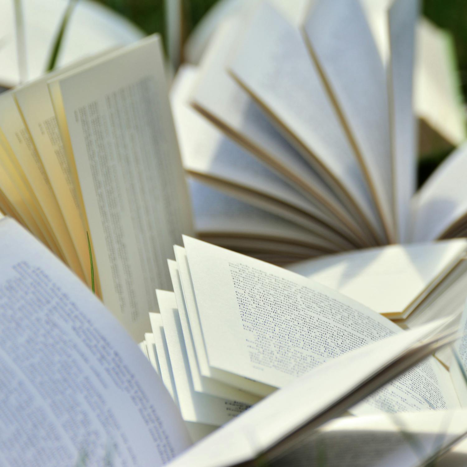 The Bookshelf with Conor Pope The Bookshelf with Conor Pope