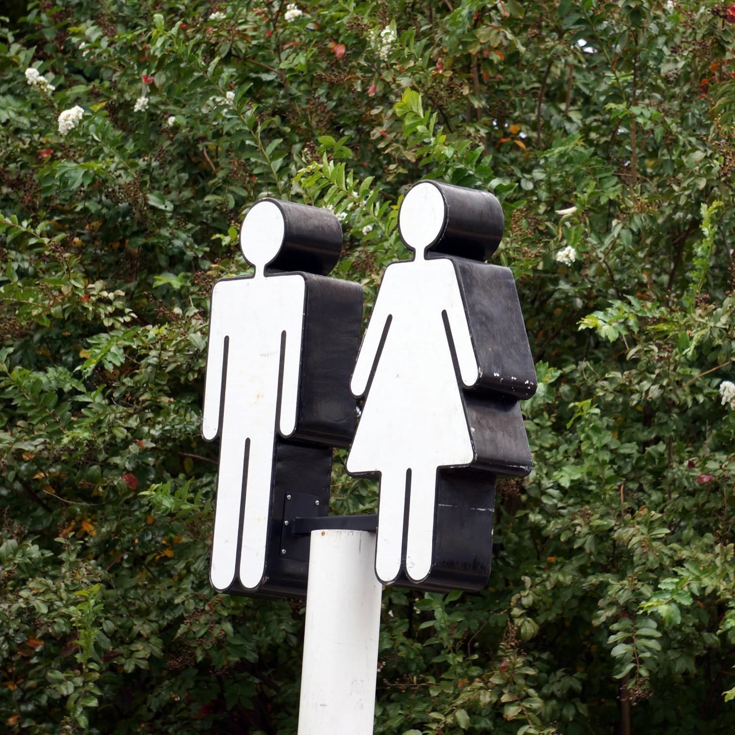 Survey finds Gen Z men having more traditional views on gender roles episode artwork