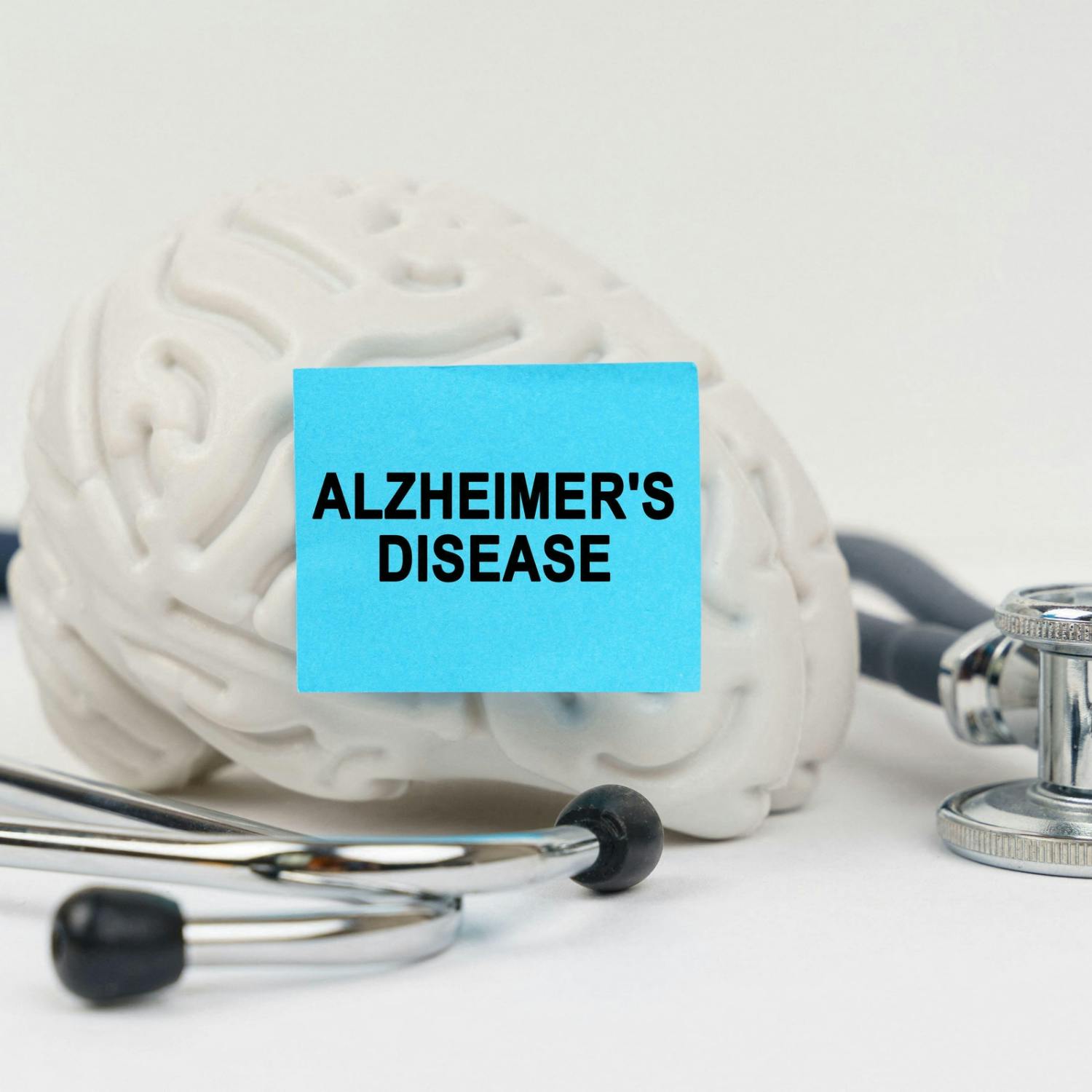 36th Alzheimer Europe Conference takes place today