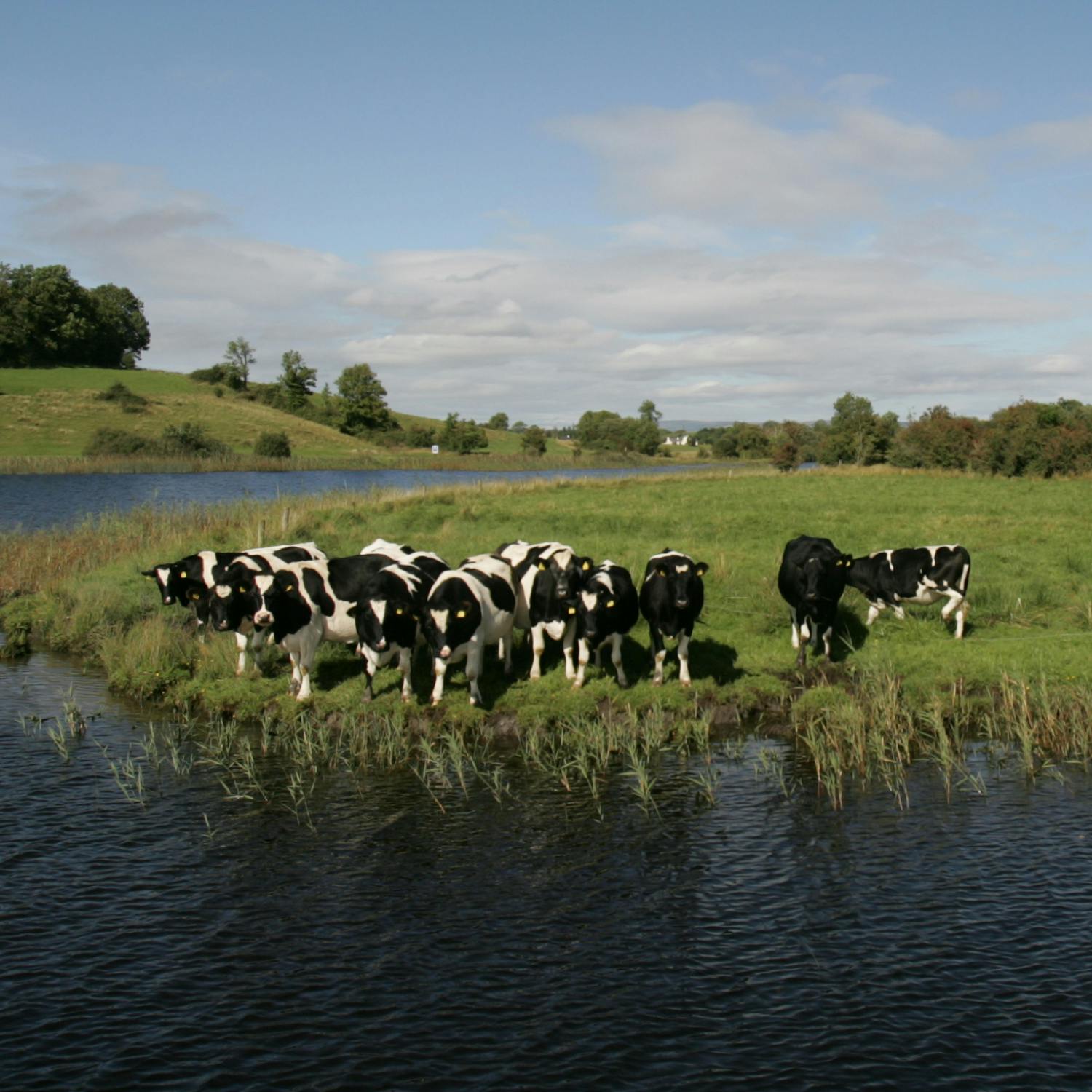 cover of episode Will this new trade deal hurt Irish farmers?