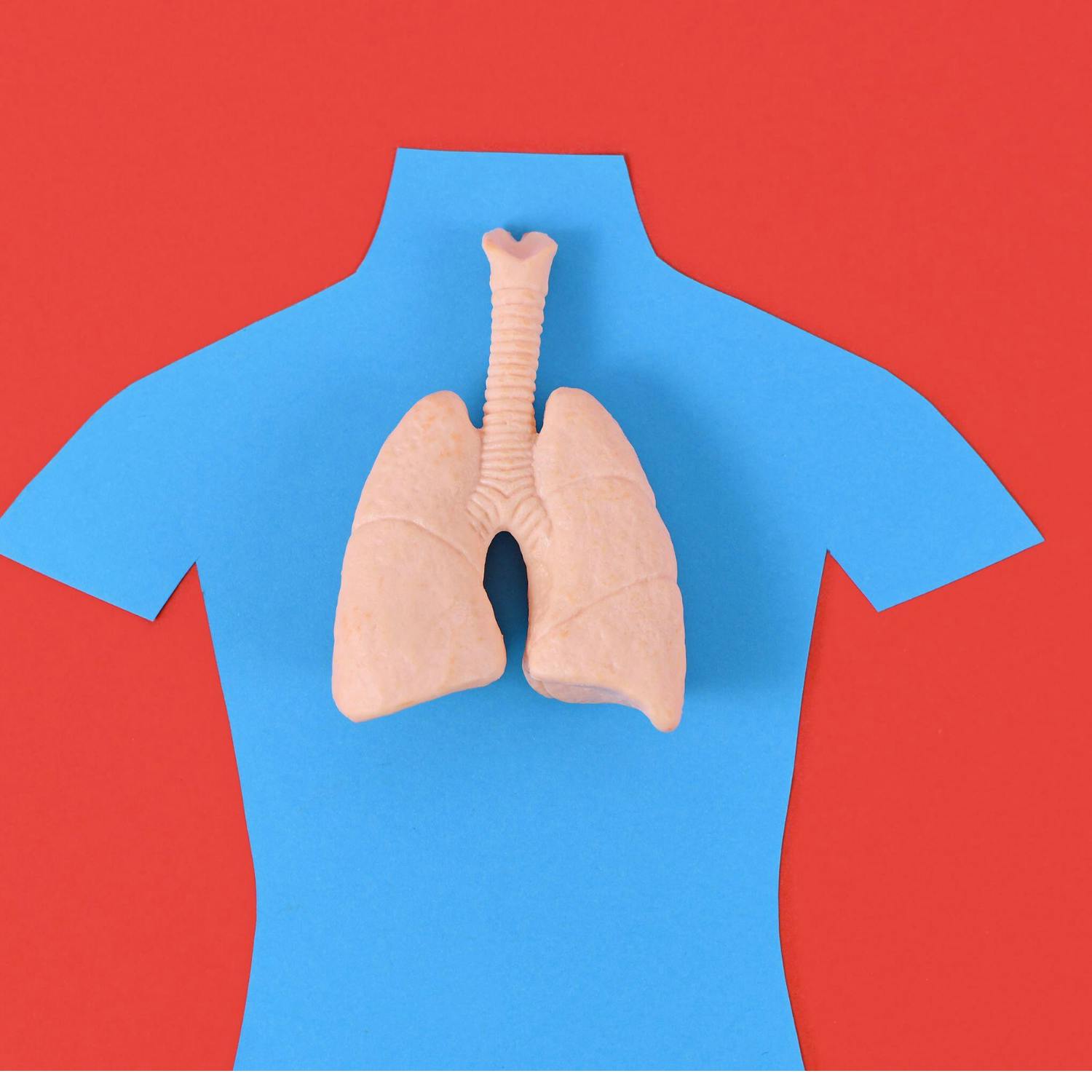 Would low emission zones help our children’s lungs?