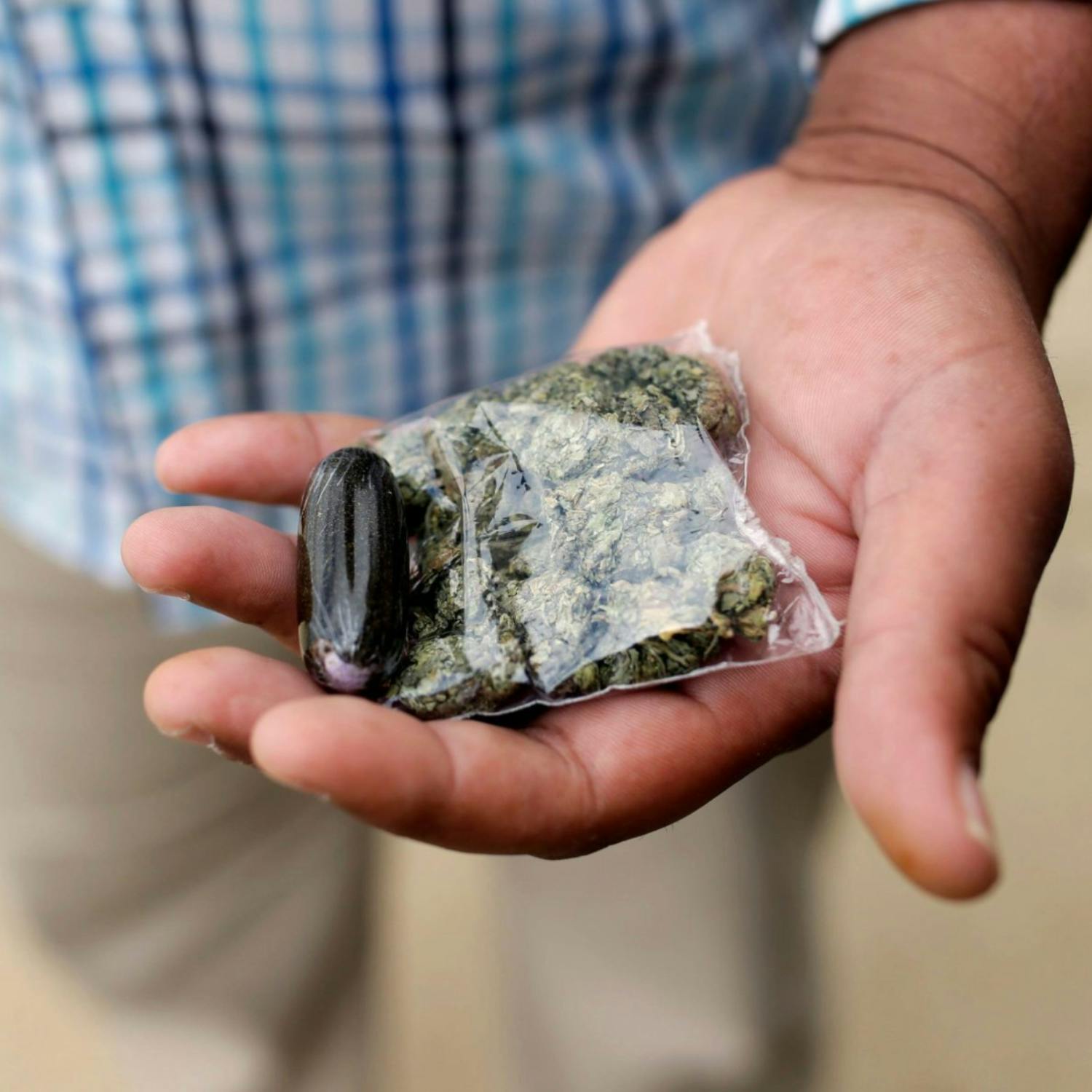 Should we decriminalise drugs? Should we decriminalise drugs?