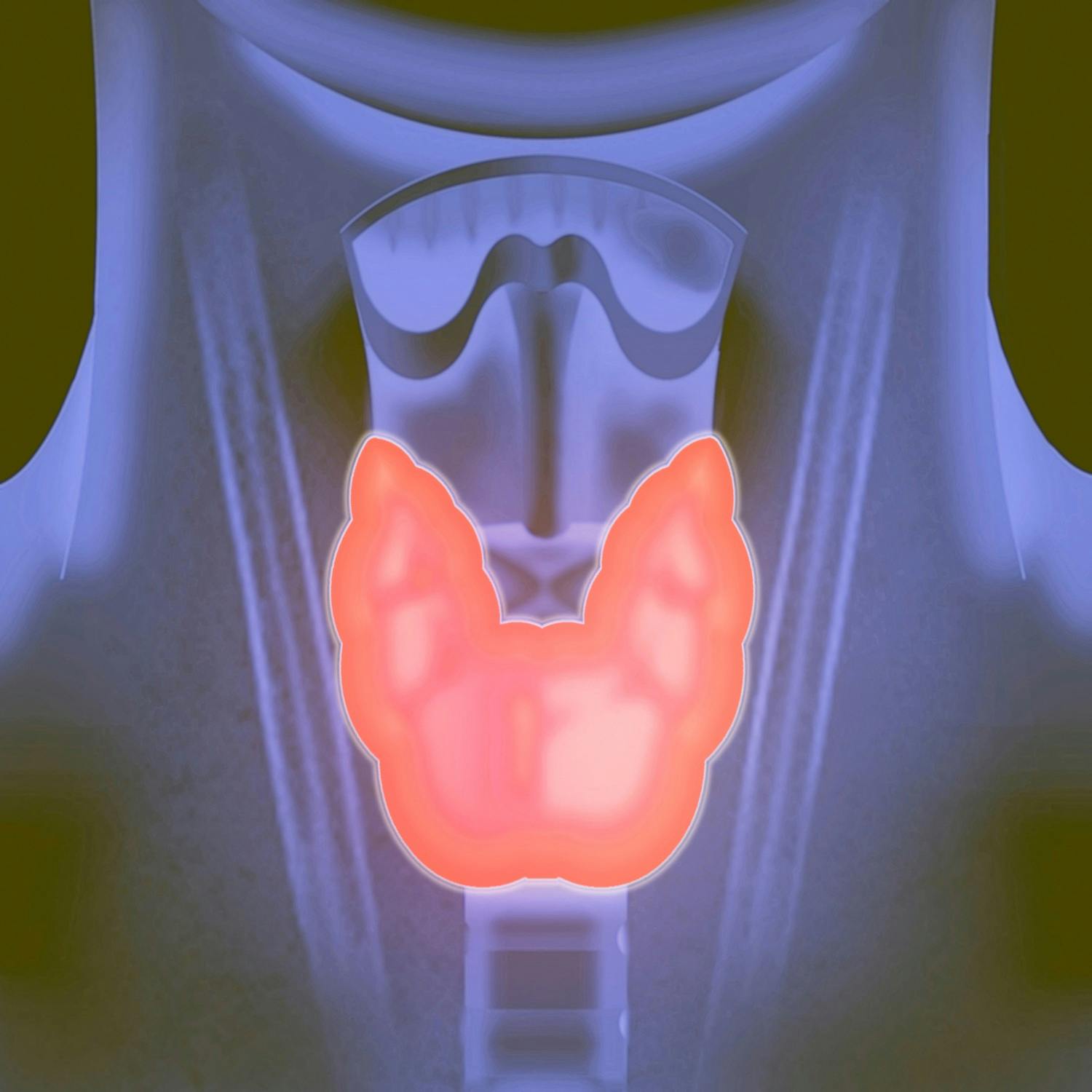 How I Live Well: Looking after our Hormones and Thyroid How I Live Well: Looking after our Hormones and Thyroid