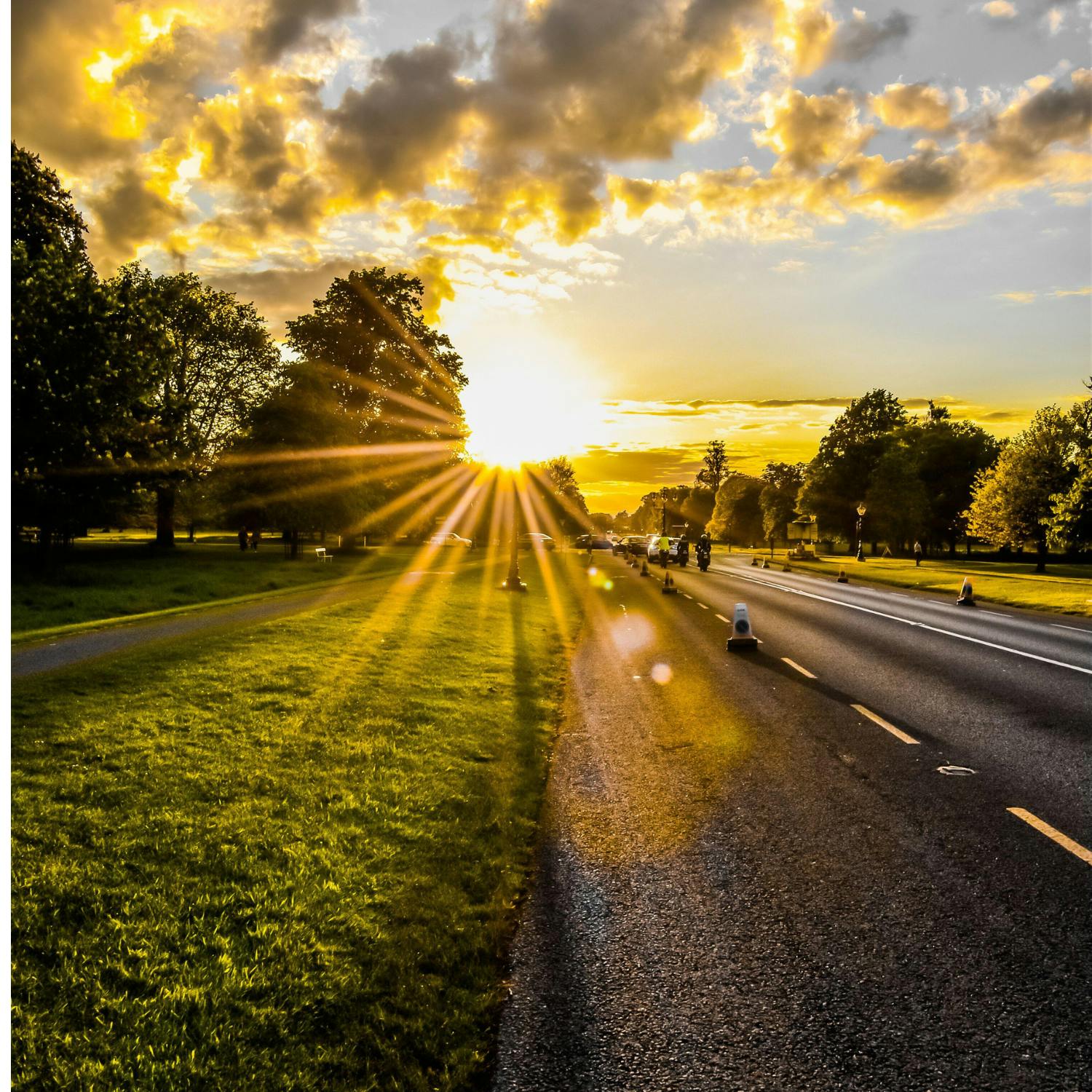 The future of the Phoenix park
