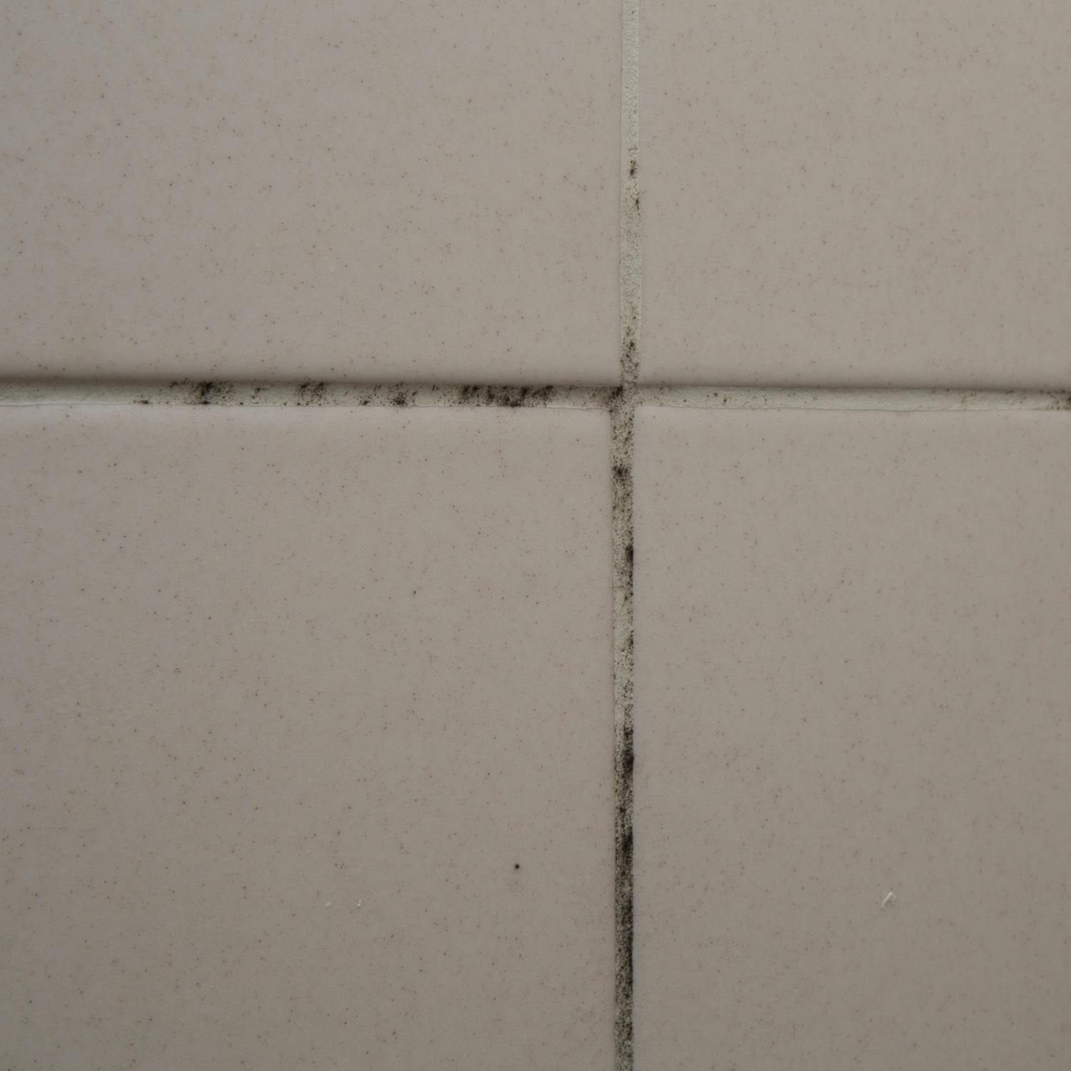 How dangerous is Household mould to your health, and is there anything you can do to prevent it? episode artwork