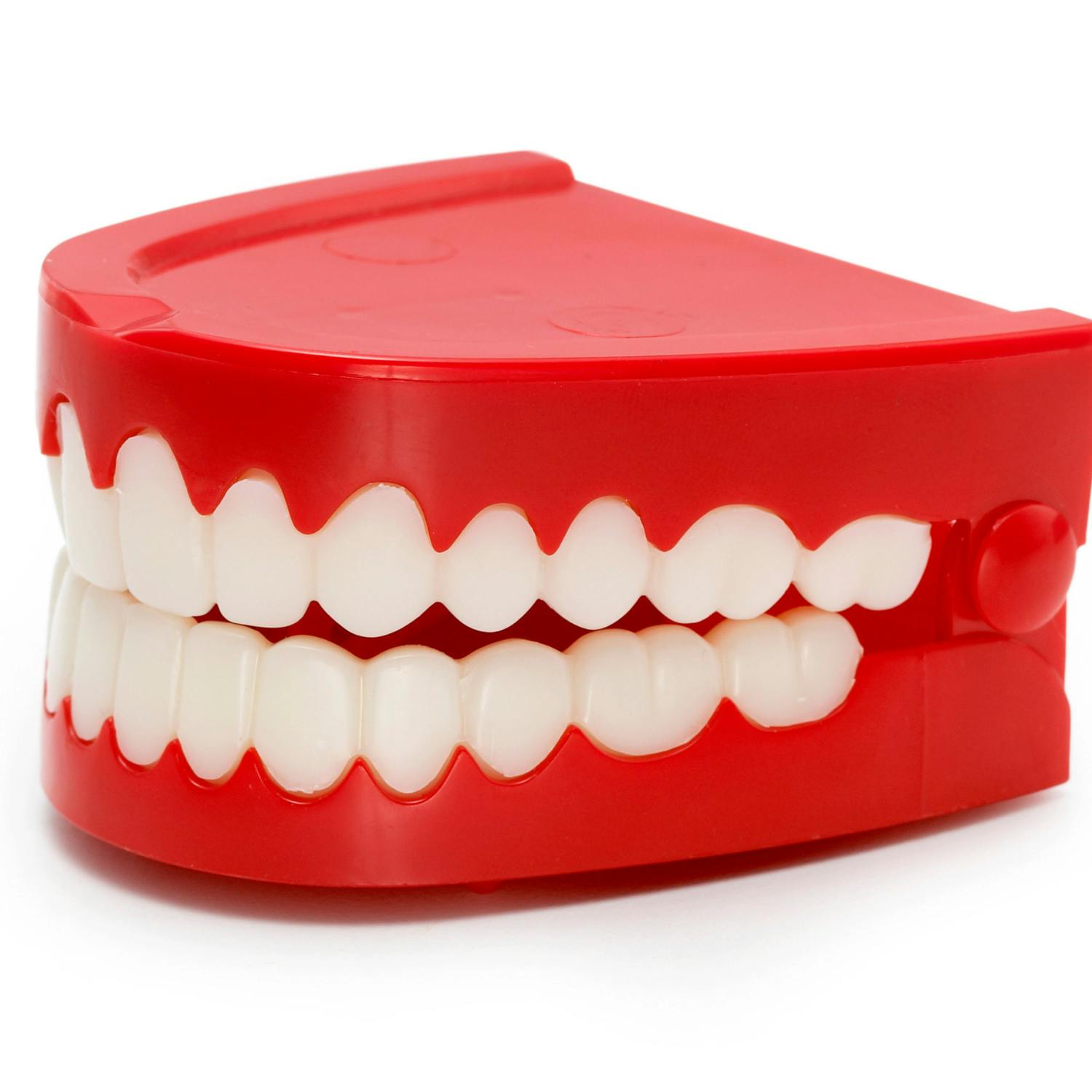 Science with Luke: Regrowing your own teeth