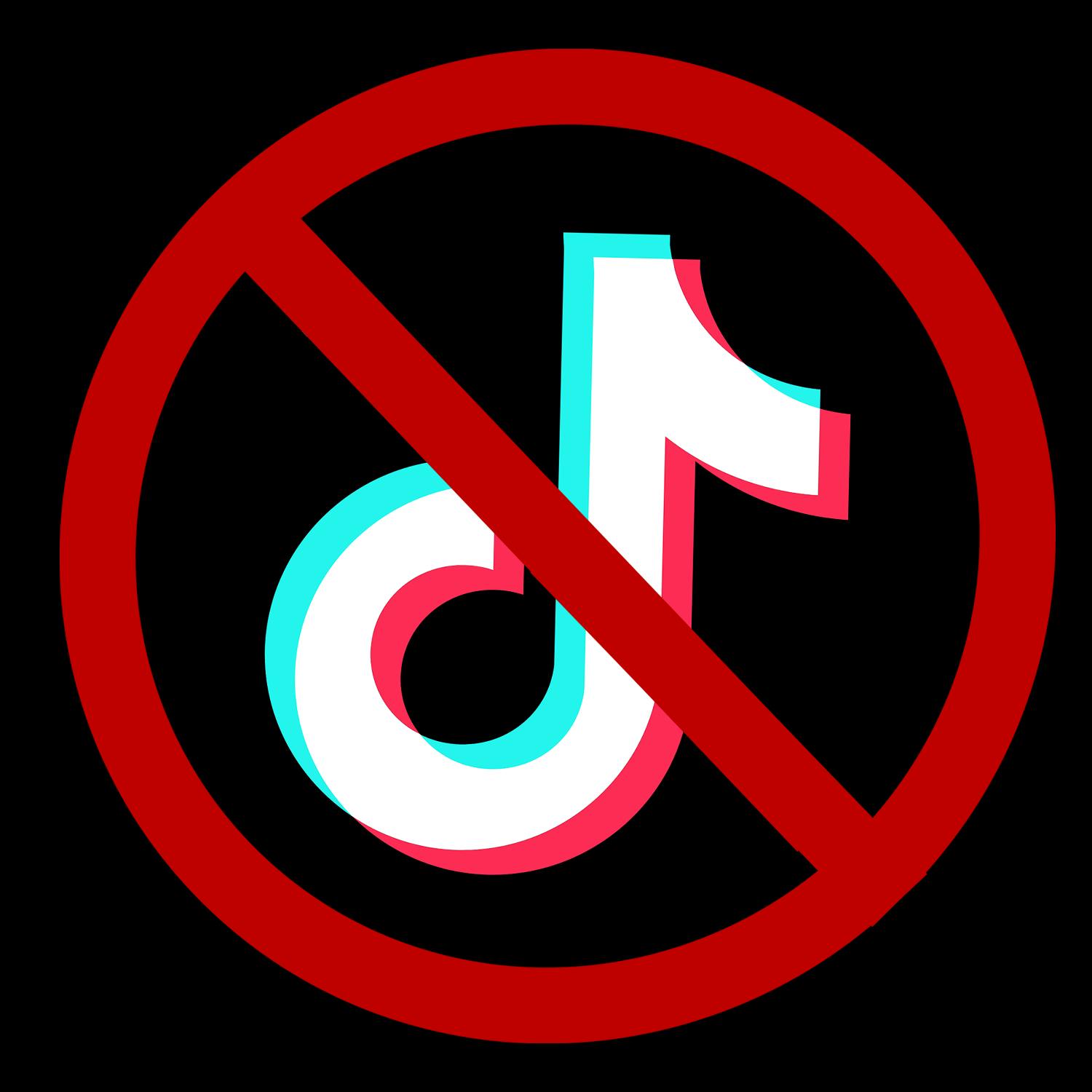 Will TikTok be banned in America?