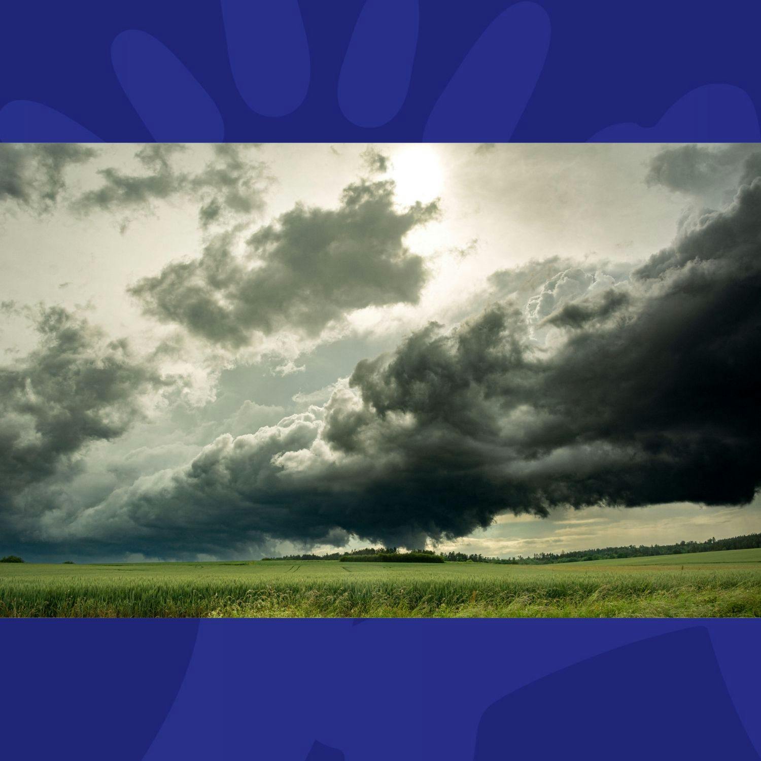 The Last Word on The Environment: Joint Hottest August Ever