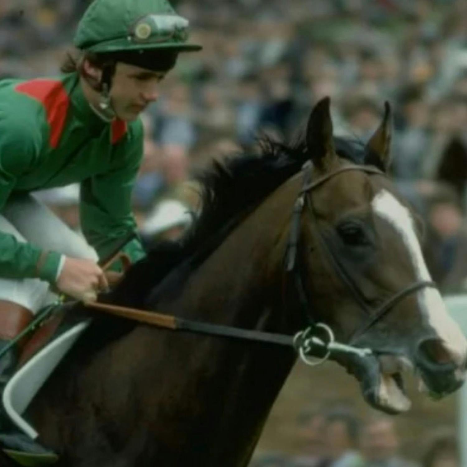 The Disappearance of a Legend: Shergars Story The Disappearance of a Legend: Shergars Story