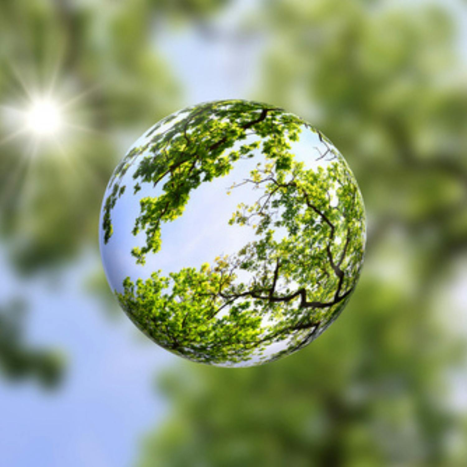 Bord na Móna aims to be very green episode artwork