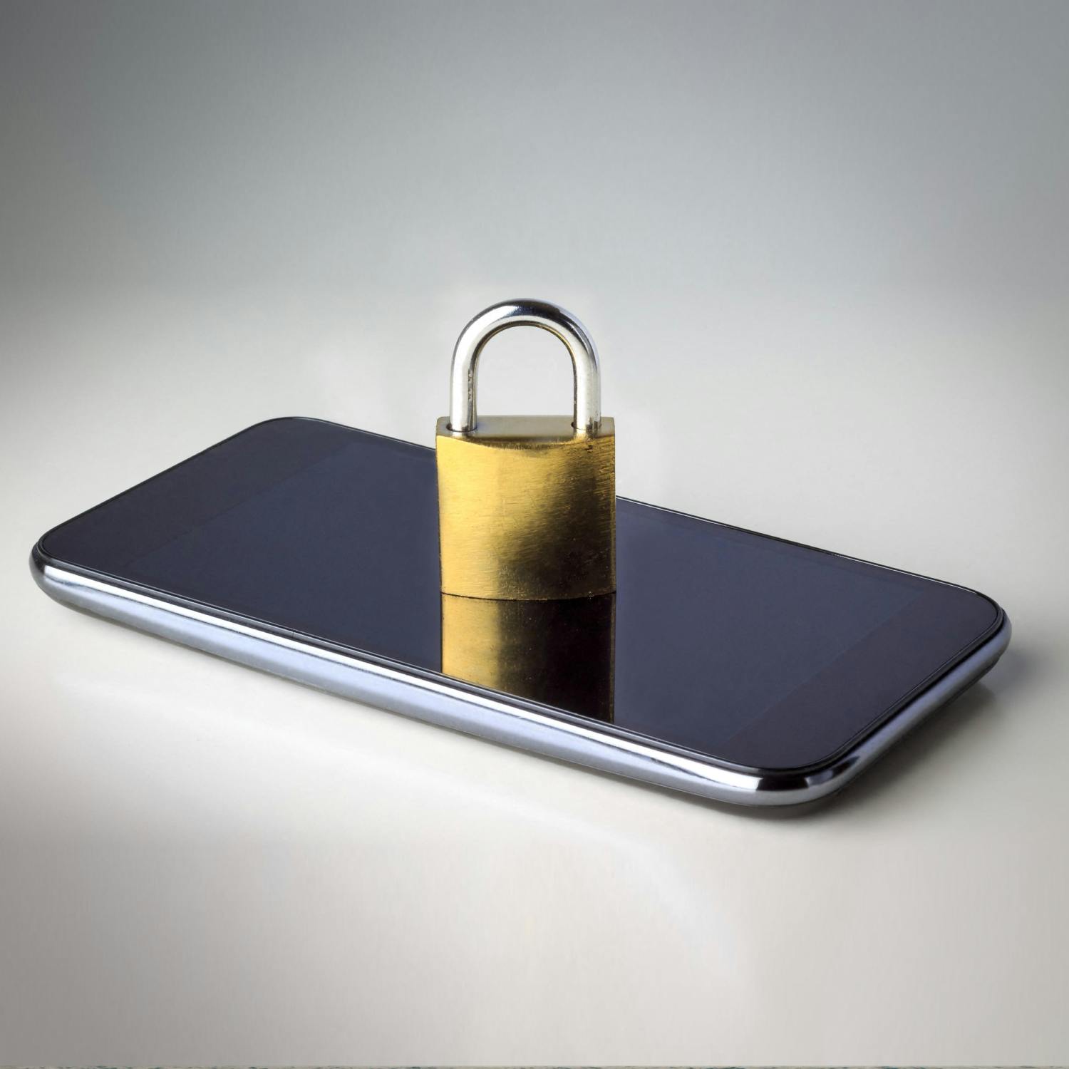 What security features are missing from the Government Digital Wallet?