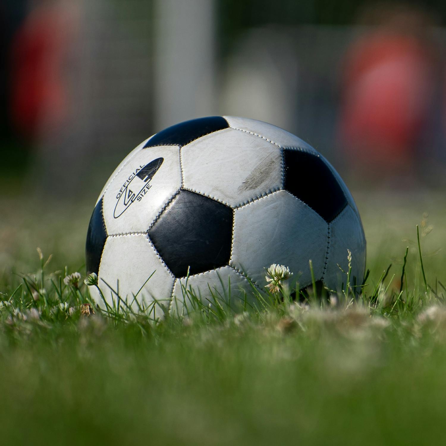 Ireland V Israel likely to move to neutral venue