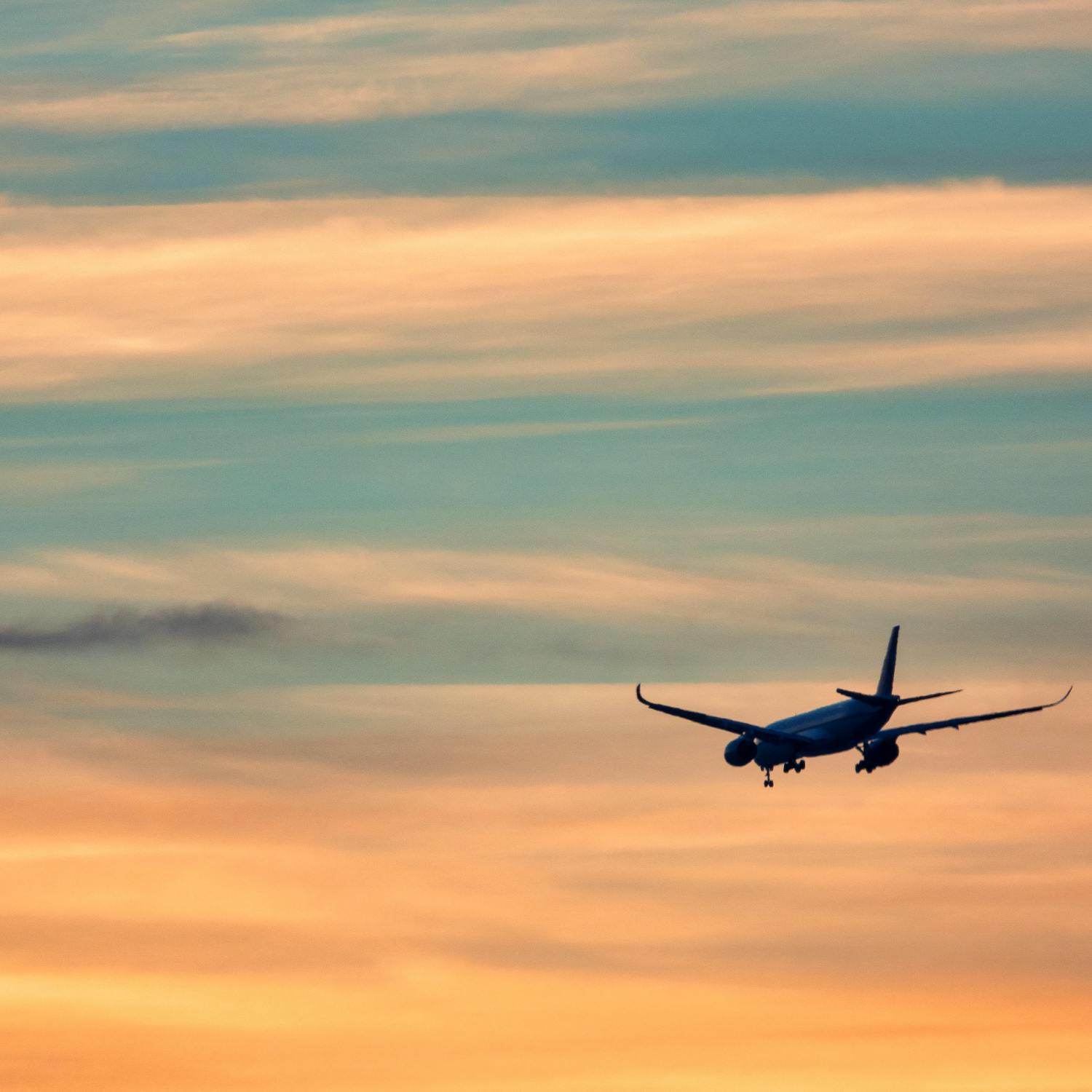 Industry Review: Travel Agents