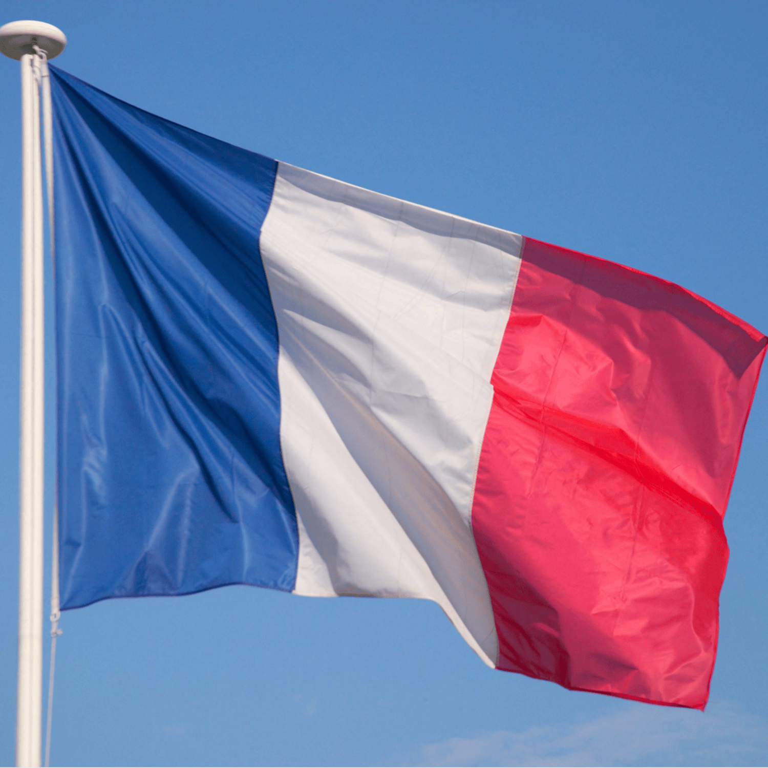 Will the upcoming mayoral elections in France see voters opt for Far-Right candidates?