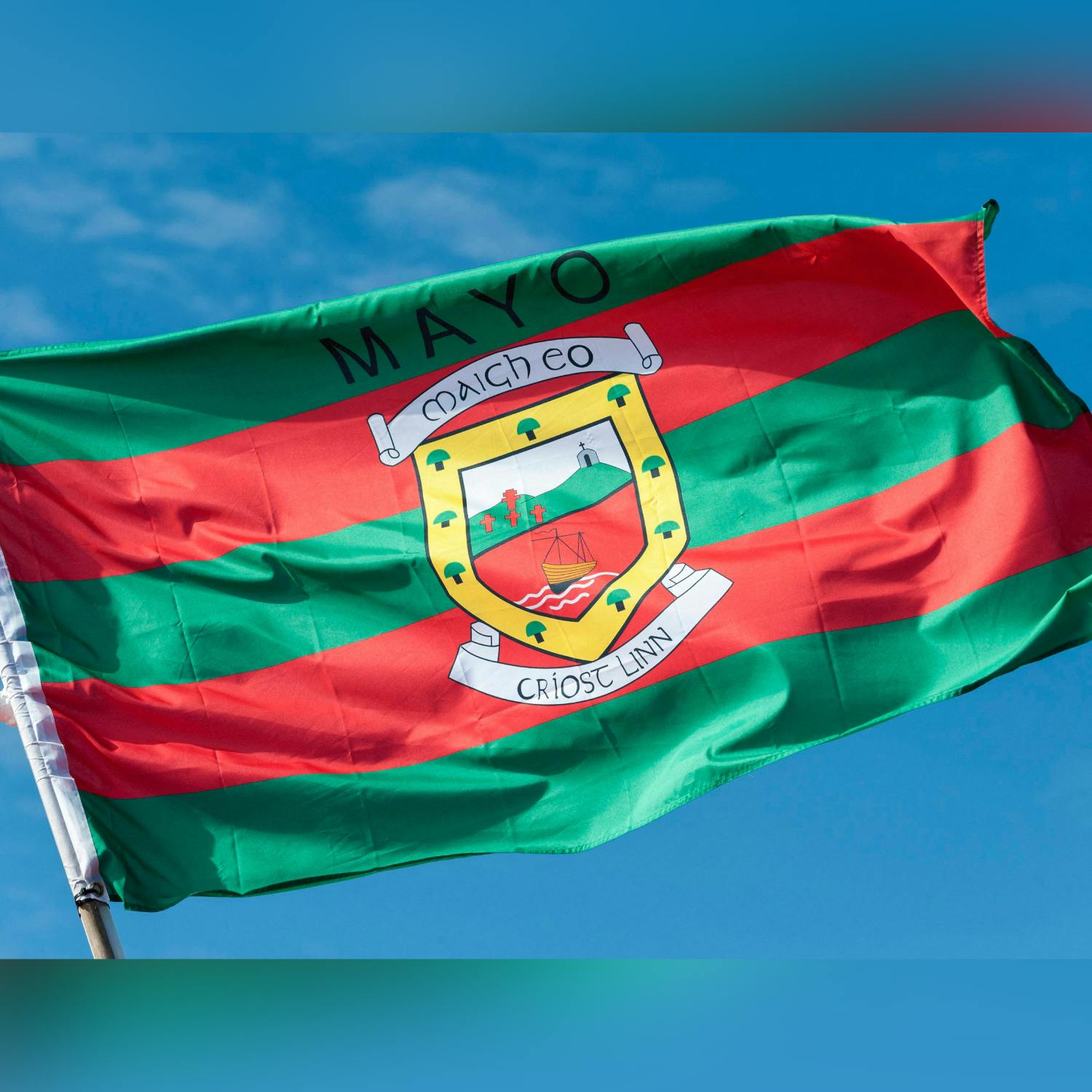 Is anyone in Mayo working today? - Henry McKean Reports 