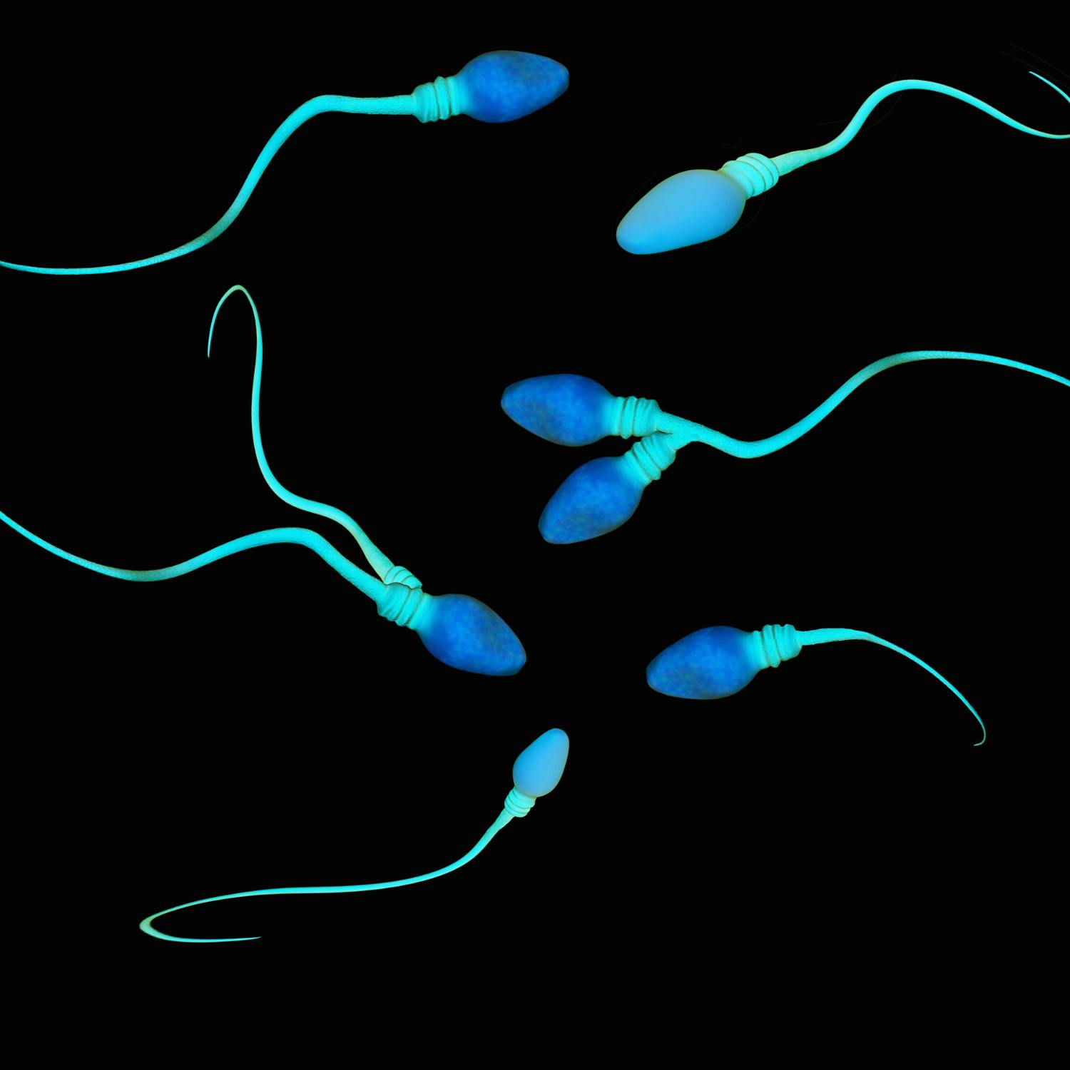 Sperm cells carry traces of childhood stress study finds