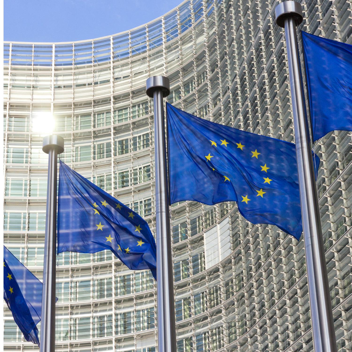 How does the EU work?