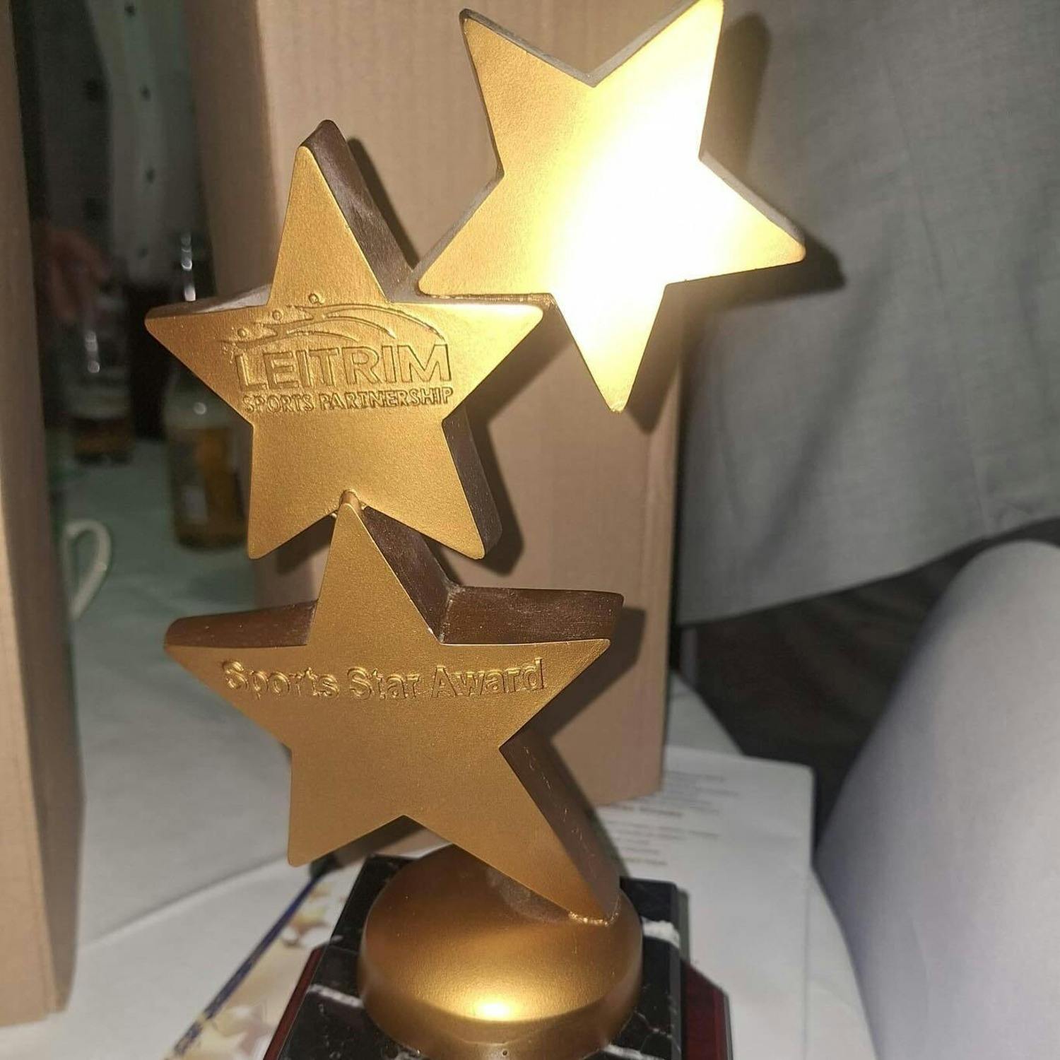 More awards for Leitrim LGFA episode artwork