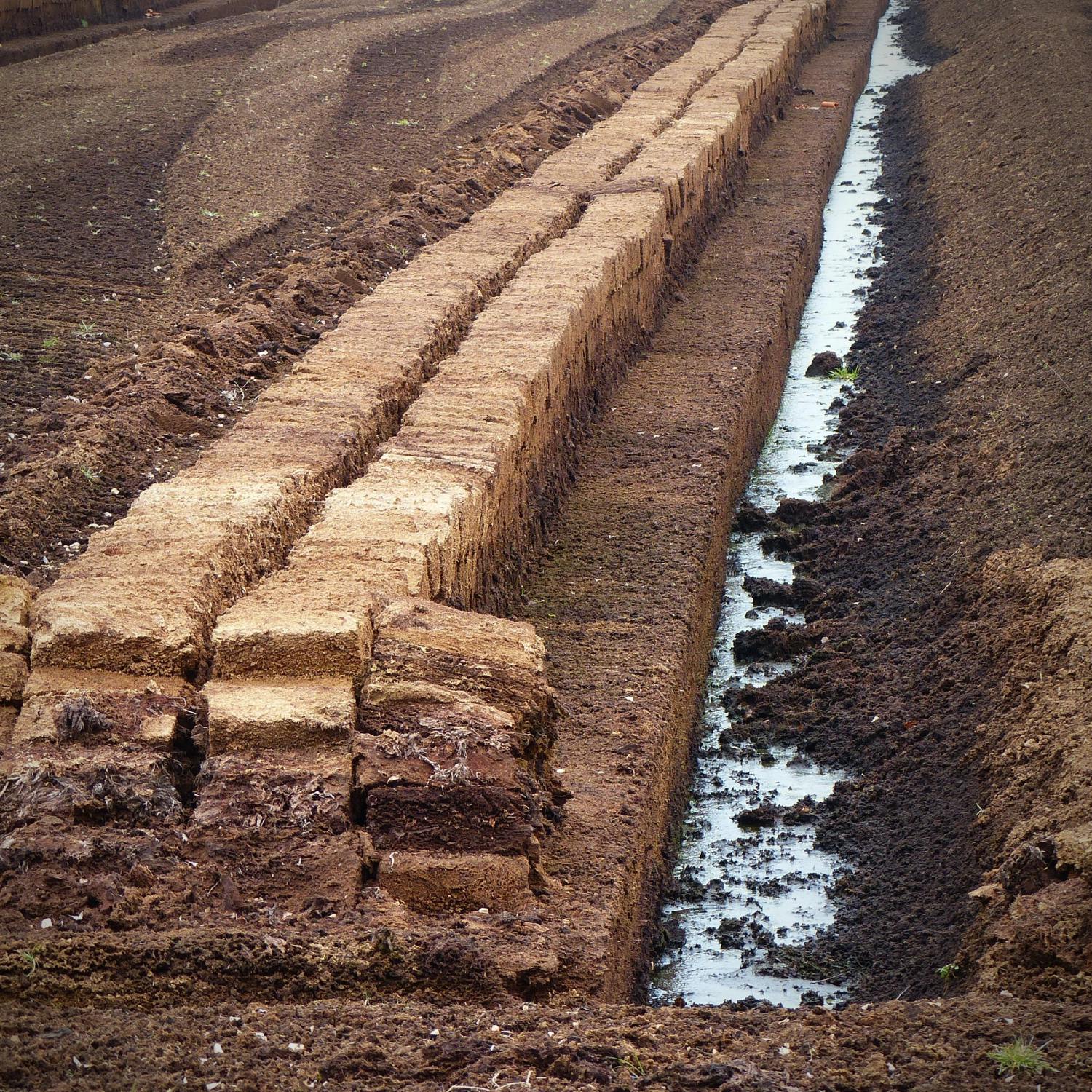 Ireland exported €40 million worth of peat last year - but how?