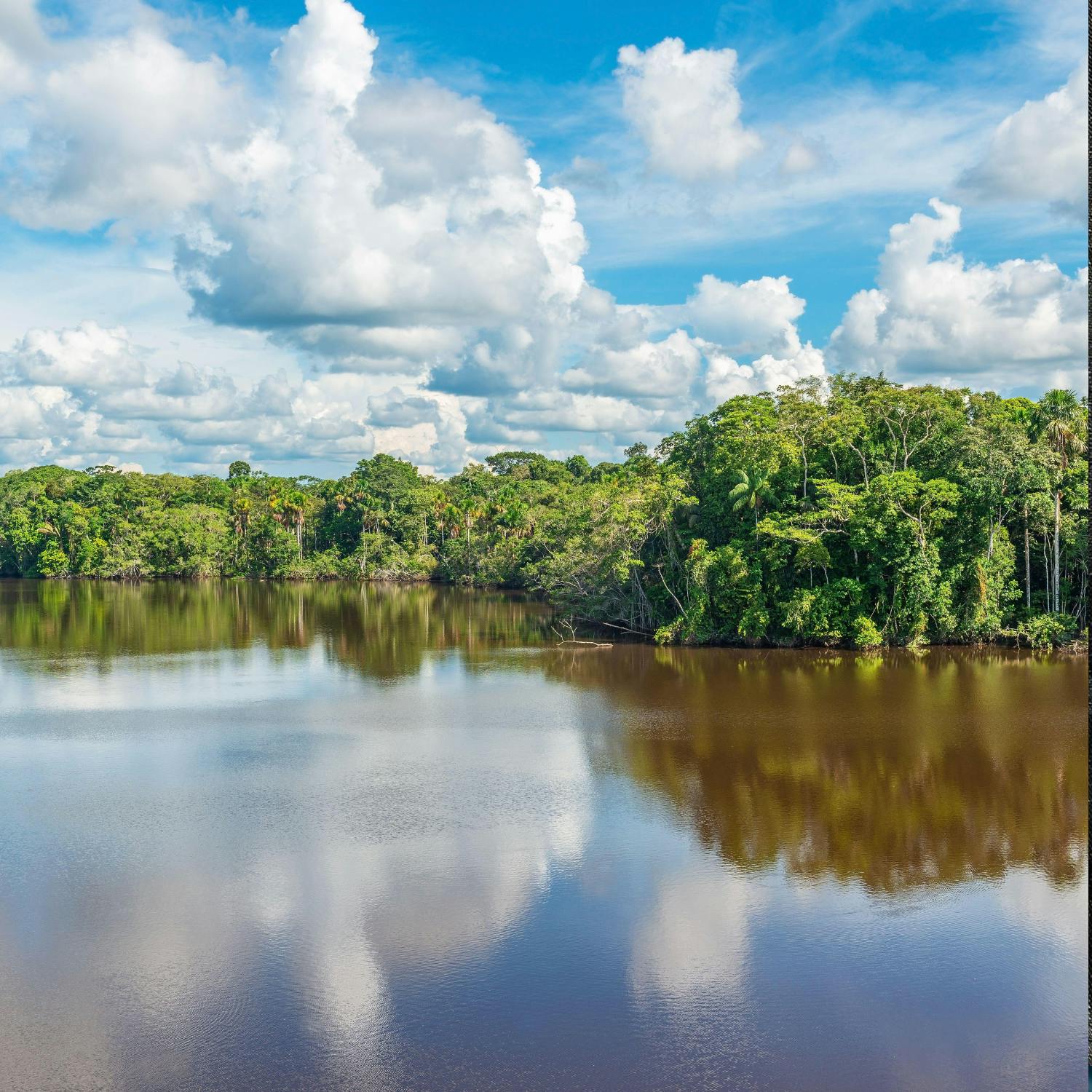 How lake temperatures surged past 40 °C in the Amazon Basin
