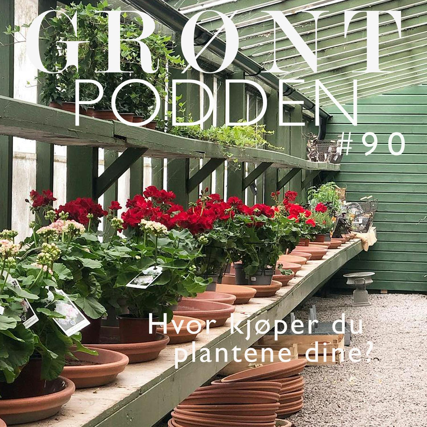 Grøntpodden
