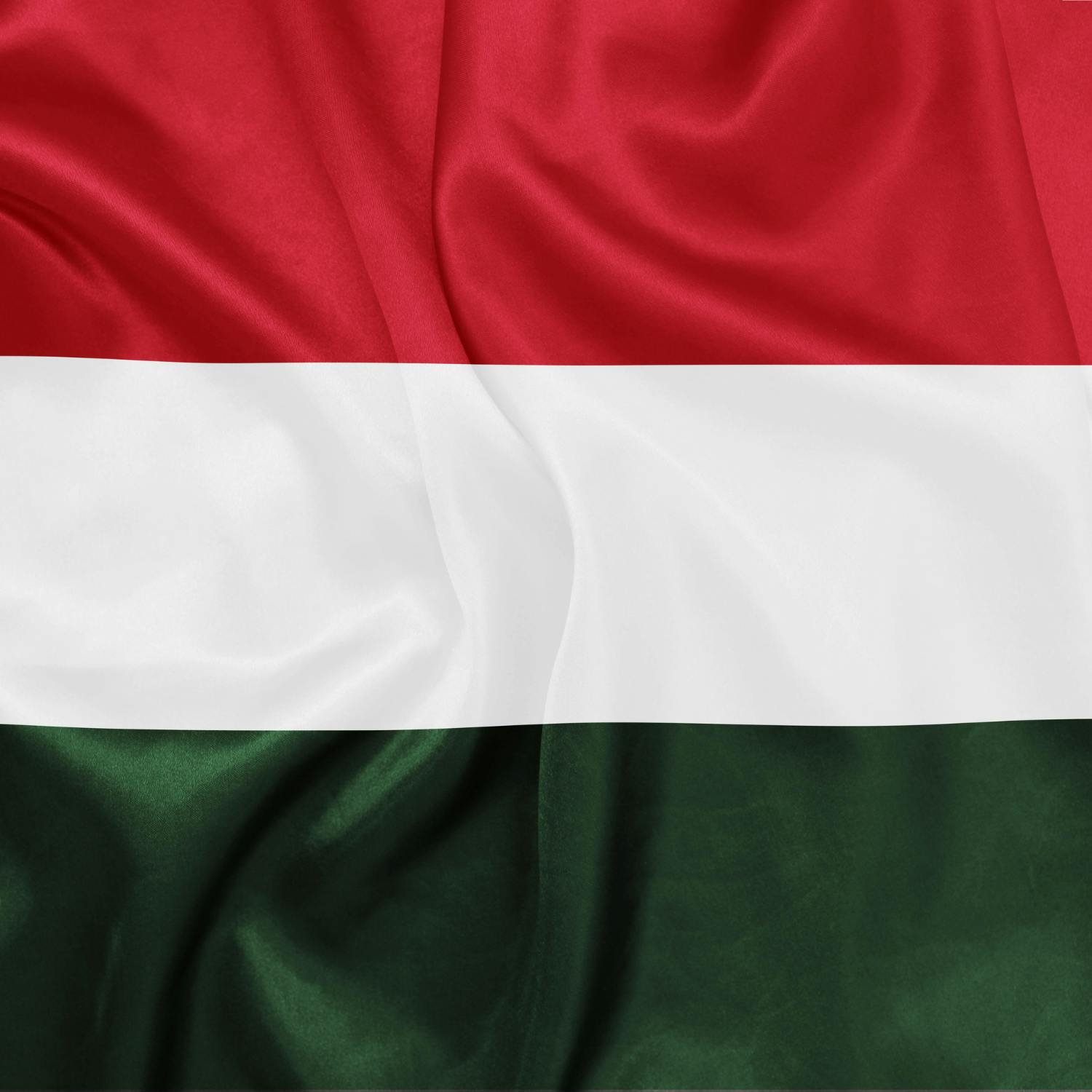 What now for the Hungarian economy?