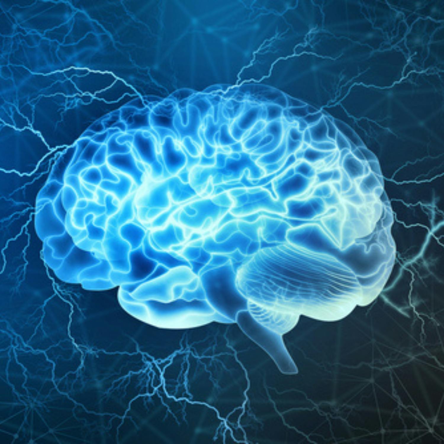 Ask The Expert:  How do our brains work?