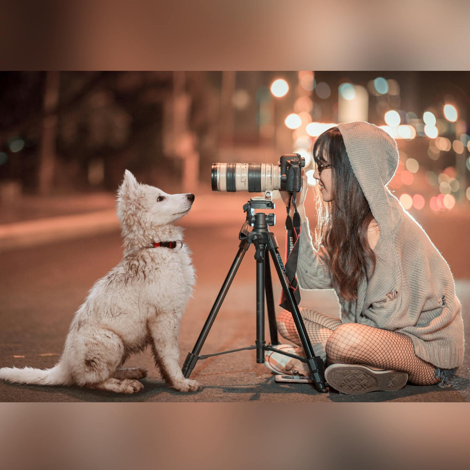 Why are we obsessed with pet pictures?