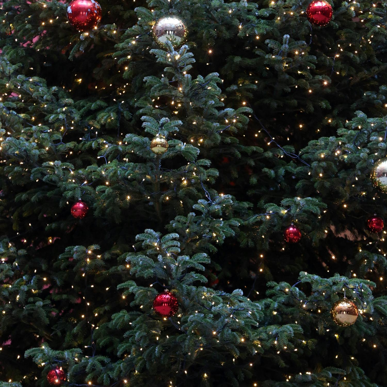 Having alternative Christmas