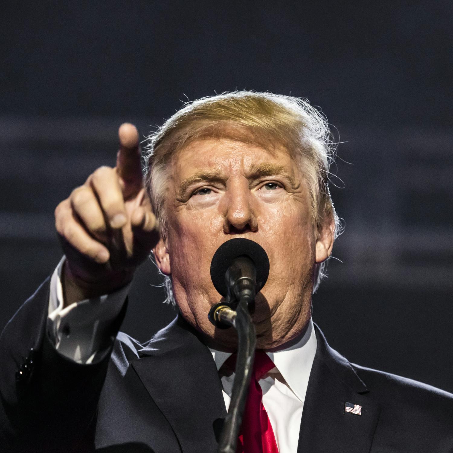 The latest from the world of Trump