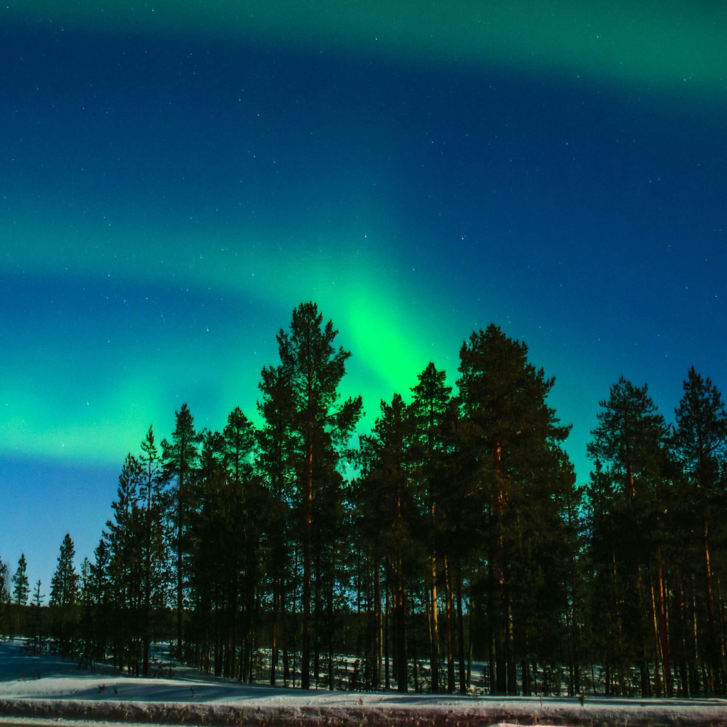 The ecological consequences of Lapland tourism