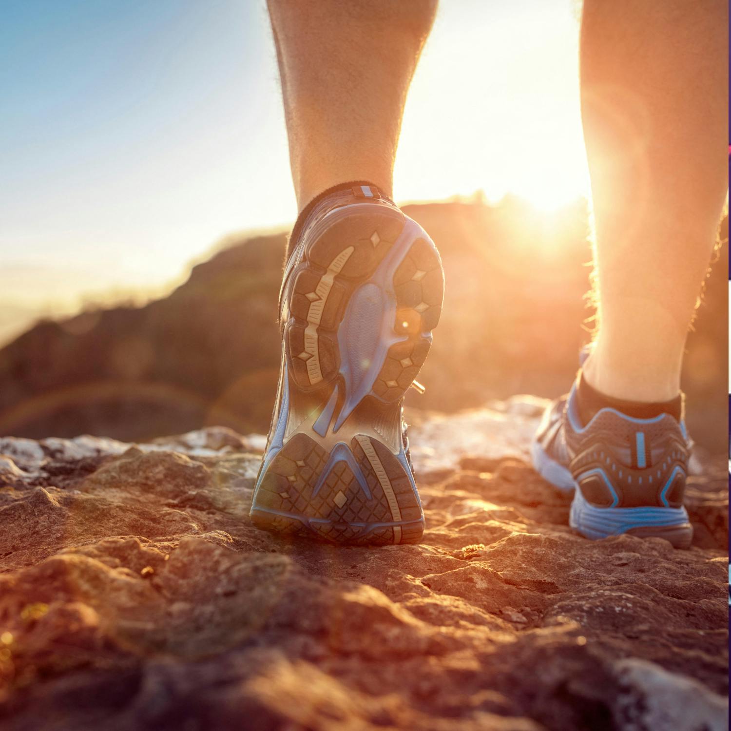 A look back on the weekend of sport