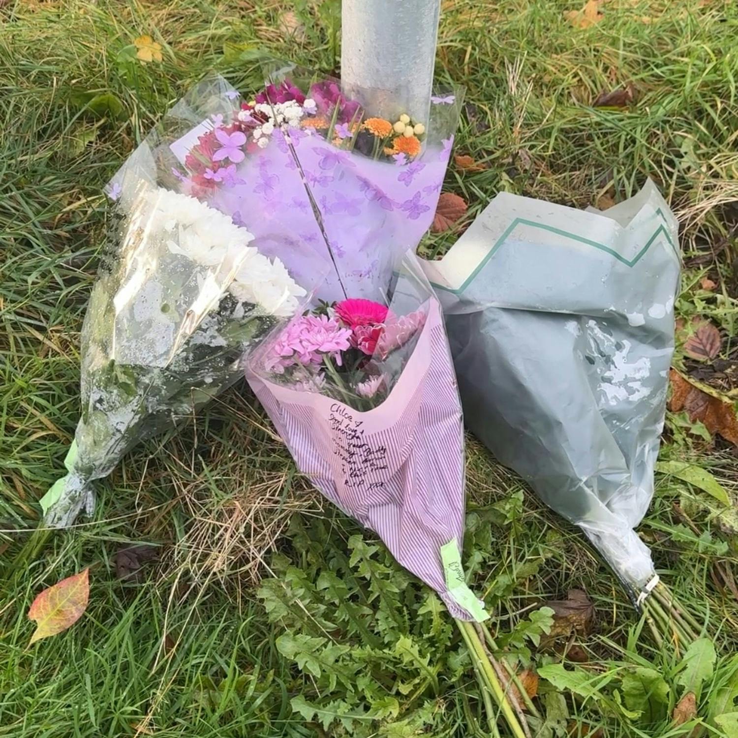 Tragedy in Co.Louth as 5 young people lose their lives in  road crash